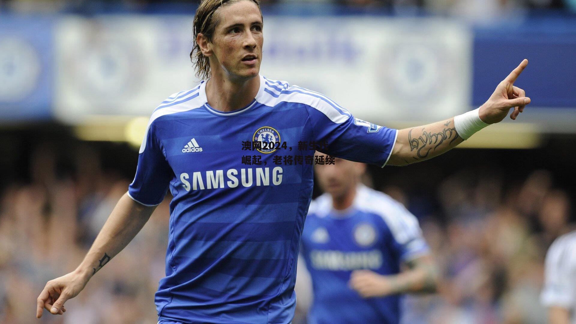 澳网2024，新生代崛起，老将传奇延续